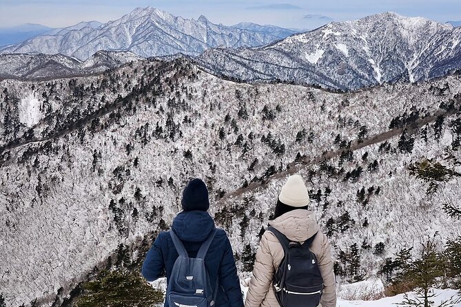 Seoraksan National Park & Nami Island - The five things to know before booking
