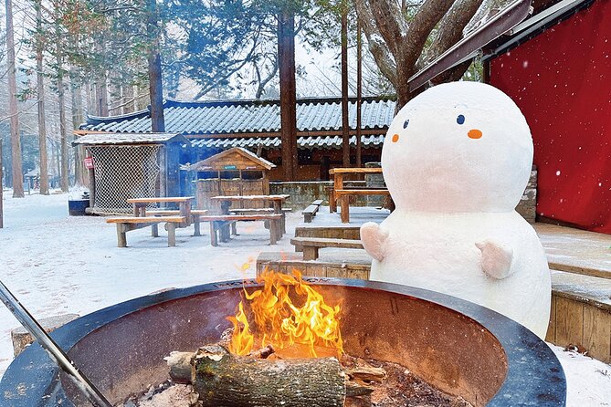 Seoraksan National Park & Nami Island - Guides can make a tight schedule easier