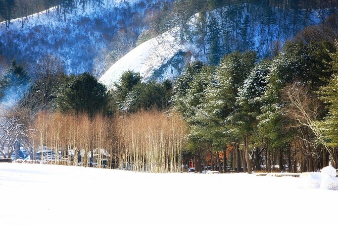 Seoraksan National Park & Nami Island - What the $63.07 price really covers