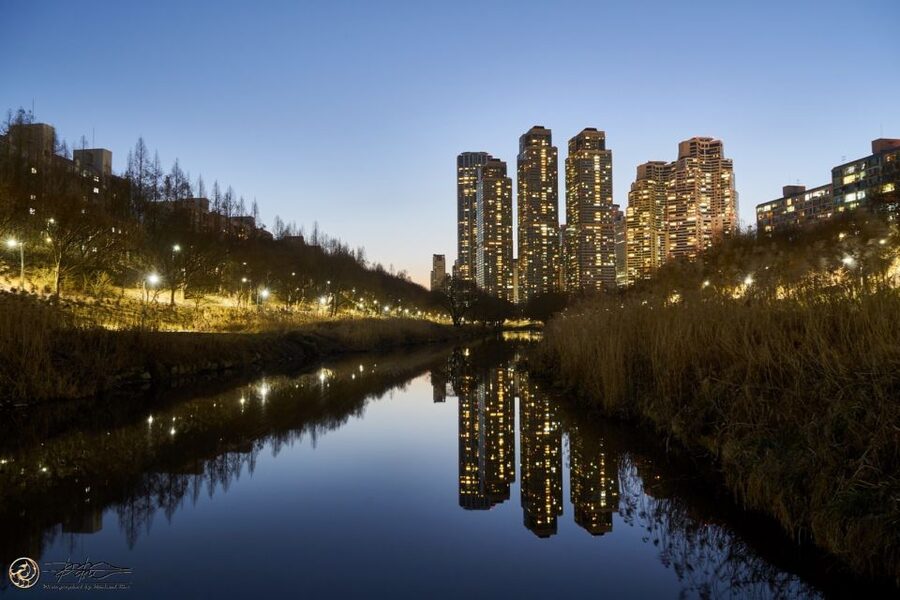 Seoul: 4-Hour Gangnam Walking Tour With Customized Itinerary - Meeting your guide and setting the pace