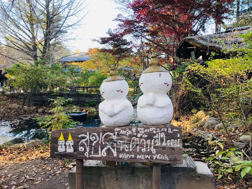 Seoul: Alpaca, Nami, Morning Calm or Eobi (+Rail Bike) - Should you book this day trip?