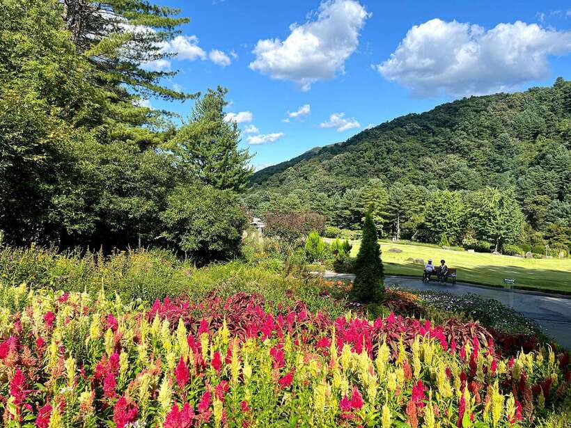 Seoul: Alpaca World and Nami Island (with Garden / Railbike) - Adding Gangchon Railbike to the Day