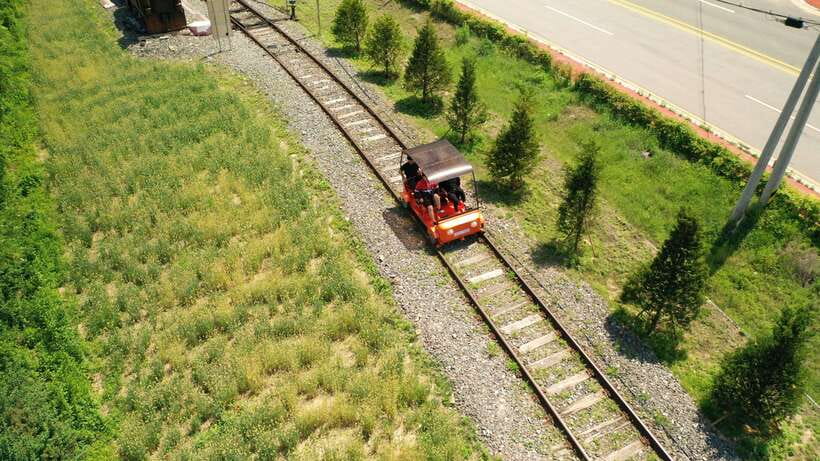 Seoul: Alpaca World and Nami Island (with Garden / Railbike) - Garden of Morning Calm or The Stay Healing Park