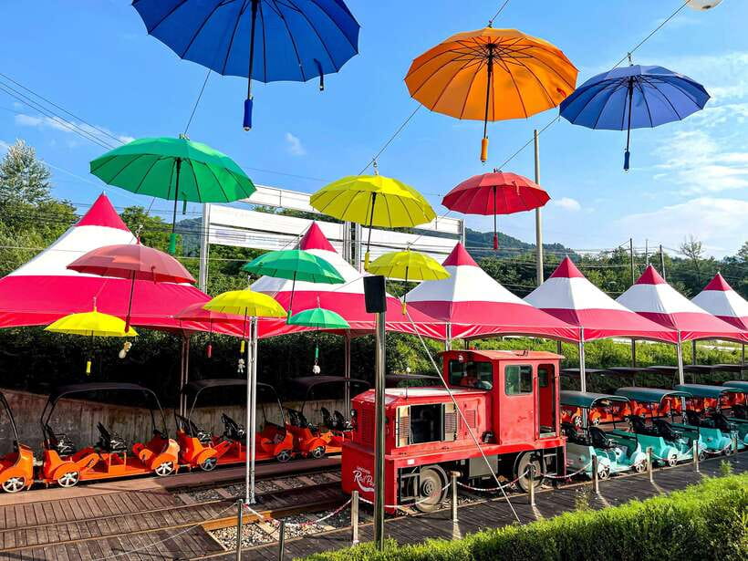 Seoul: Alpaca World & Nami Island optional Gangchon Railbike - Should you book the Alpaca World and Nami Island tour?
