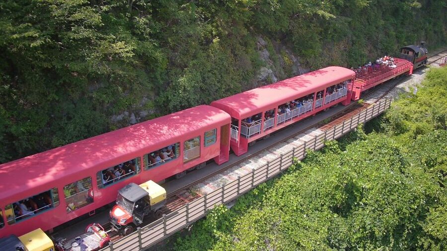 Seoul: Alpaca World & Nami Island optional Gangchon Railbike - Timing, weather, and seasonal changes