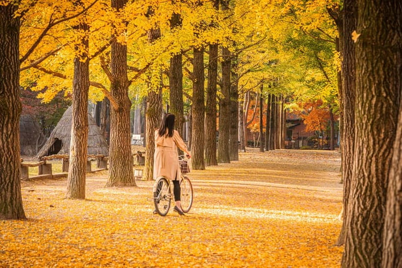 Seoul: Alpaca World & Nami Island optional Gangchon Railbike - Who will enjoy this tour most