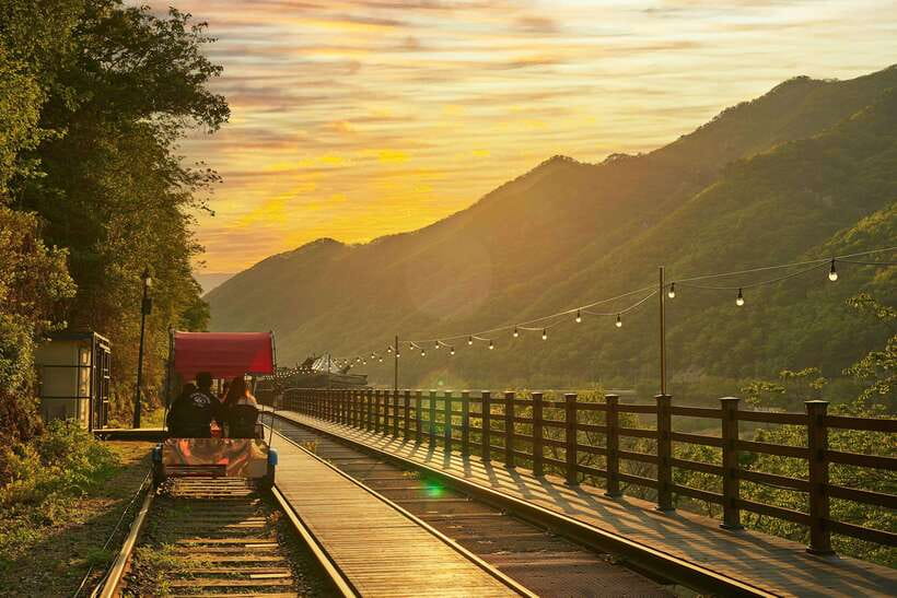Seoul: Alpaca World & Nami Island optional Gangchon Railbike - What to budget beyond the $71 price
