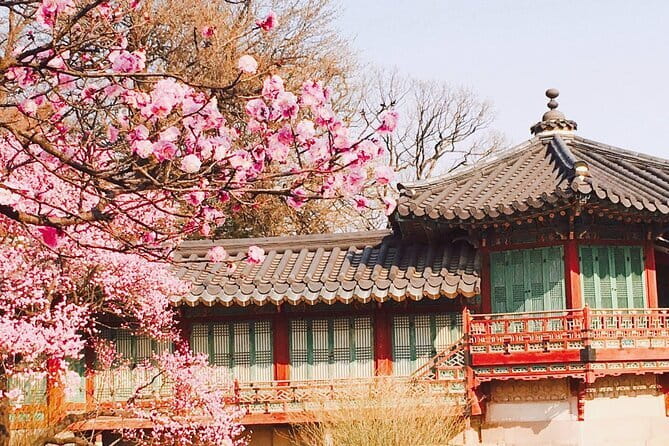 Seoul and Suburbs Private Customized Tour - What the price includes, and what it leaves out