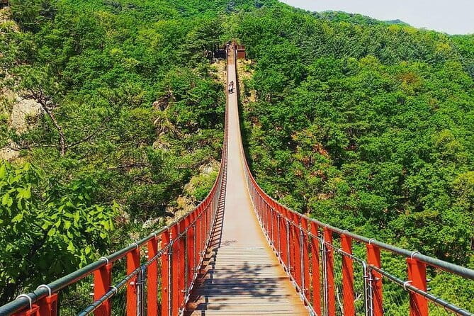 Seoul and Suburbs Private Customized Tour - Nami Island: tree-lined paths and a long first stop