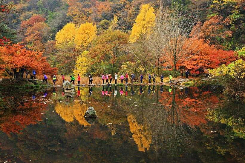 Seoul: Autumn Foliage - Mt. Naejang + Jeonju Hanok Village - Why This Seoul Day Trip Works
