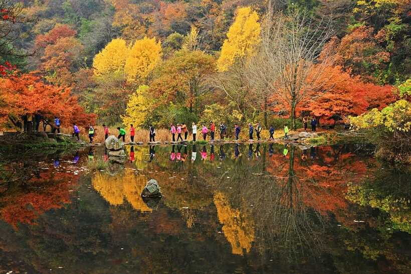 Seoul: Autumn Foliage - Mt. Naejang + Jeonju Hanok Village - Returning to Seoul After a 16-Hour Day