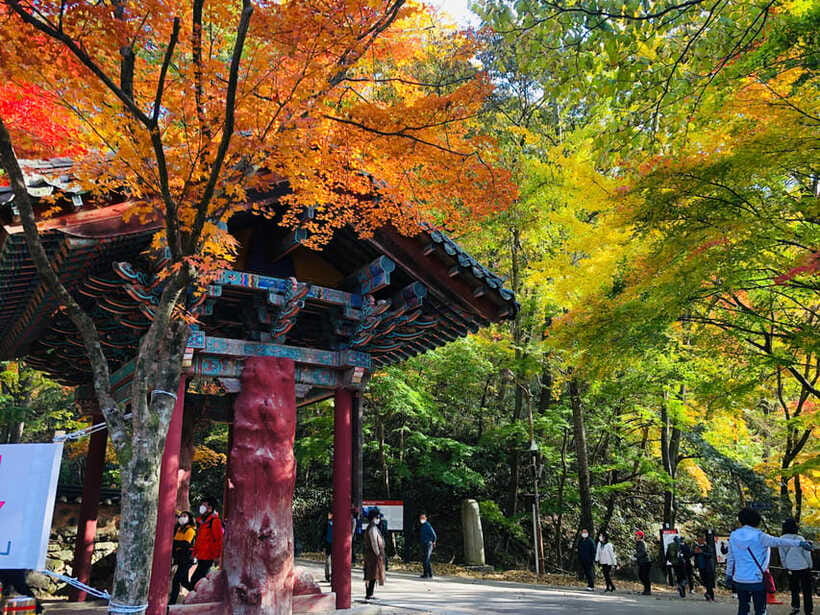 Seoul: Autumn Foliage - Mt. Naejang + Jeonju Hanok Village - Who Should Book This Experience?