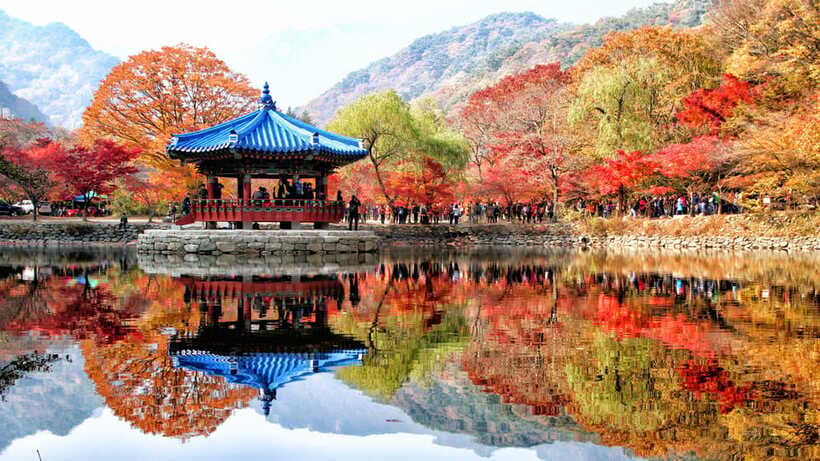 Seoul: Autumn Foliage - Mt. Naejang + Jeonju Hanok Village - Practical Tips For A Better Day