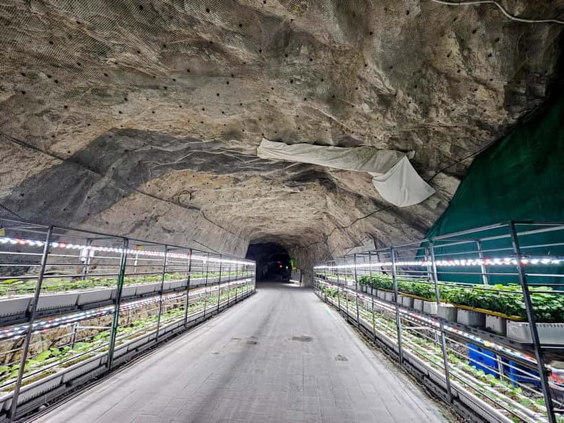 Seoul: Chungju Cruise, Cable Car & Cave Kayak Adventure Tour - Booking details worth checking