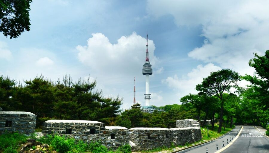 Seoul: City Highlights Full or Half Day Custom Private Tour - Mobility, children, and layovers