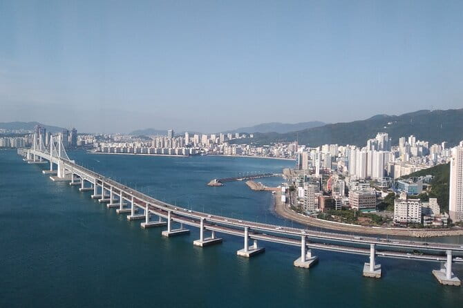Seoul City Night View and Foodie Walking Tour - Who should book this Seoul night tour?