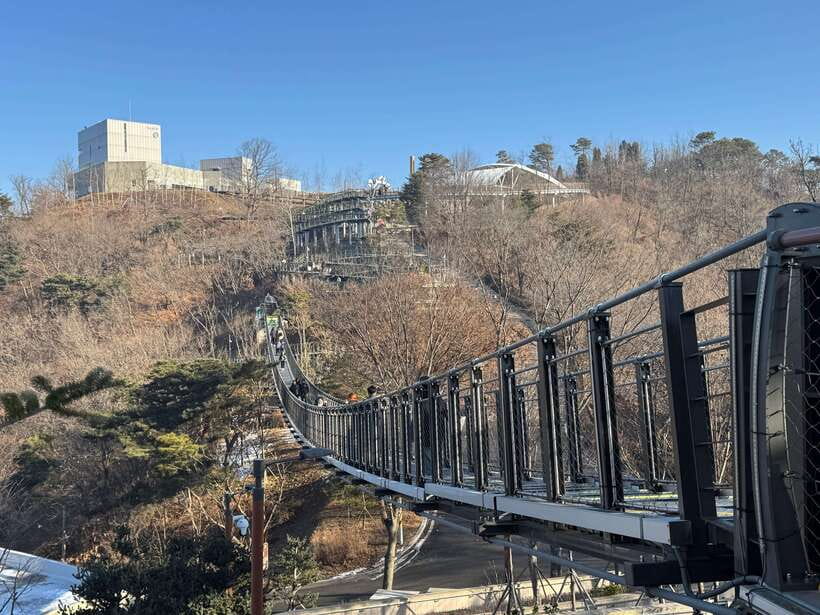 Seoul: Closest DMZ Observatory with North Korea View (1.4km) - Crossing the suspension bridge into Aegibong Peace Eco Park