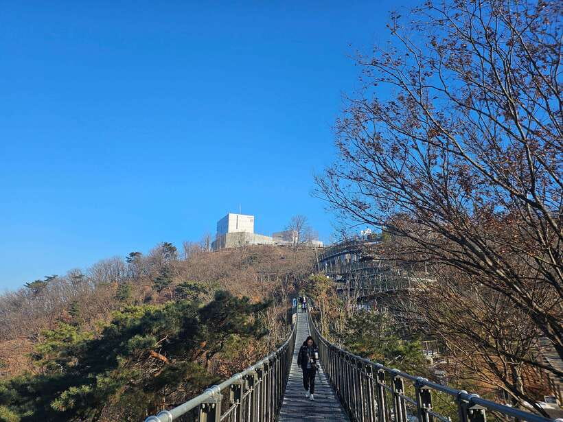 Seoul: Closest DMZ Observatory with North Korea View (1.4km) - Who should book this Aegibong visit?