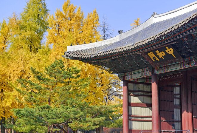 Seoul: Deoksugung Palace Night Tour - Jeonggwanheon provides a gentle ending
