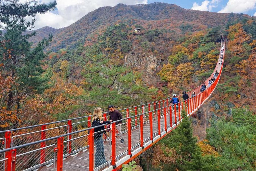 Seoul: DMZ Guided Tour with Suspension Bridge and Gondola - Why the DMZ is worth a full day from Seoul