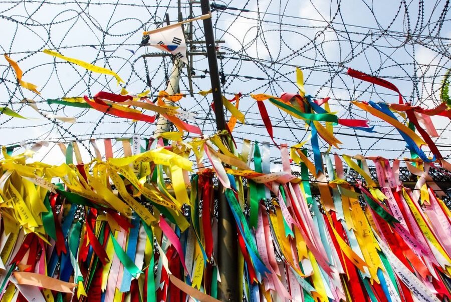 Seoul: DMZ, Gyeongbokgung Palace & City Tour - Entering the DMZ with a military guide