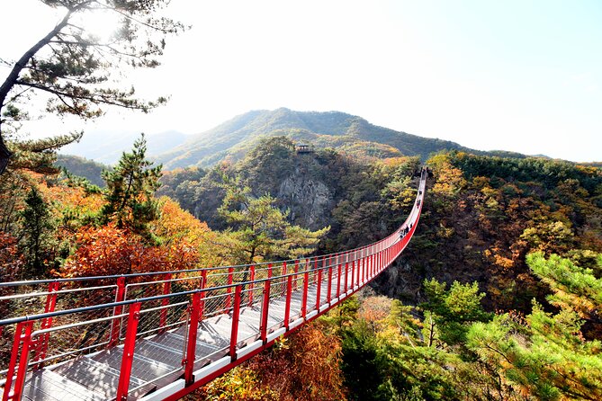 Seoul DMZ Tour with 3rd Tunnel and Red Suspension Bridge - Why this tour works as a day from Seoul
