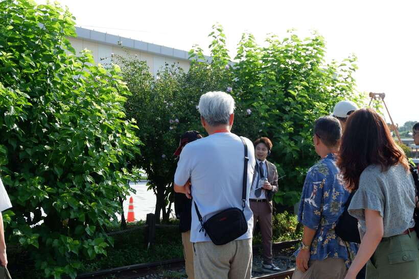 Seoul: DMZ Tour with Japanese-Speaking Guide - Unification Village offers a quieter, more commercial ending