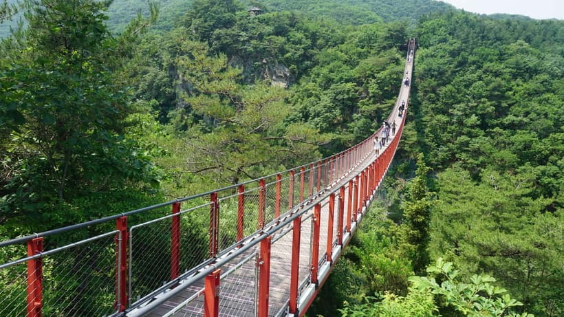 Seoul: DMZ Tour with Optional Suspension Bridge - Five things to know before booking