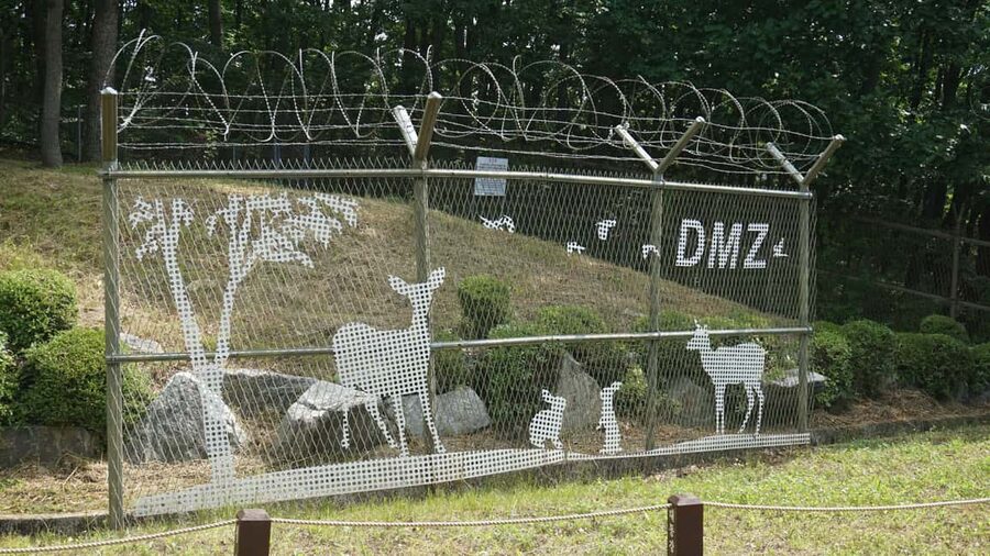 Seoul: DMZ Tour with Optional Suspension Bridge - Aegibong Observatory and the Starbucks stop
