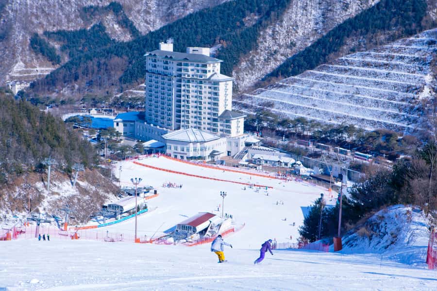 Seoul: Elysian Gangchon Winter Ski Resort Fun Day Tour - Guides who make the day easier
