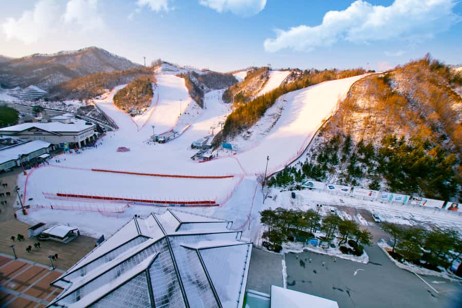 Seoul: Elysian Gangchon Winter Ski Resort Fun Day Tour - Who should book this Elysian Gangchon experience?