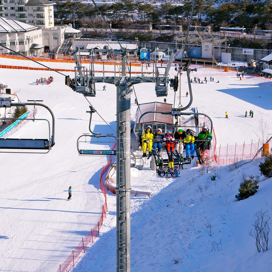 Seoul: Elysian Gangchon Winter Ski Resort Fun Day Tour - Choosing the right package for your winter day