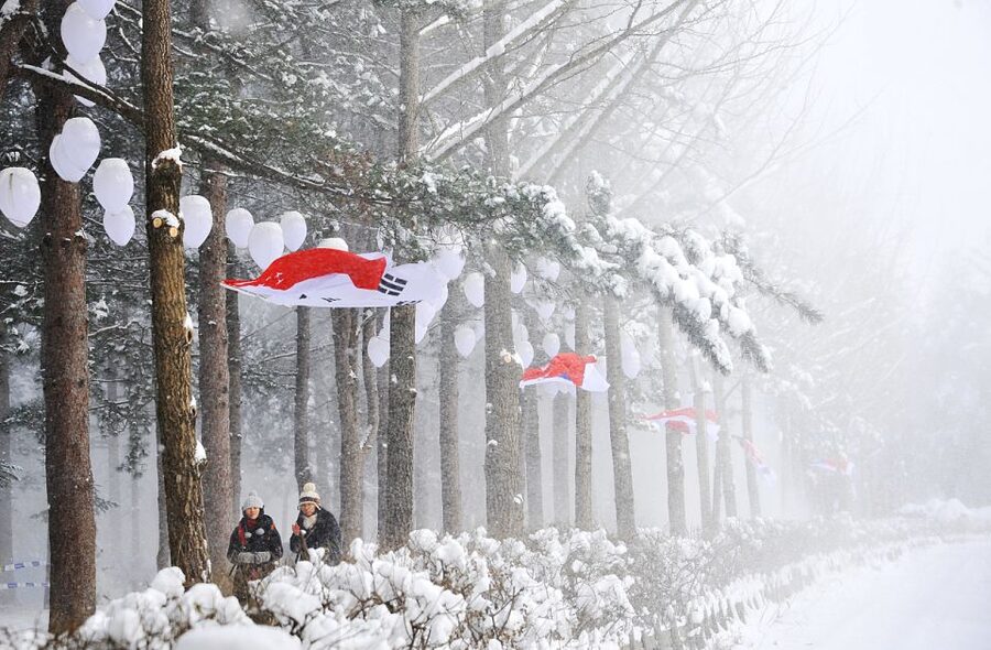 Seoul: Elysian Gangchon Winter Ski with Nami Island Day Tour - Final decision: should you book it?