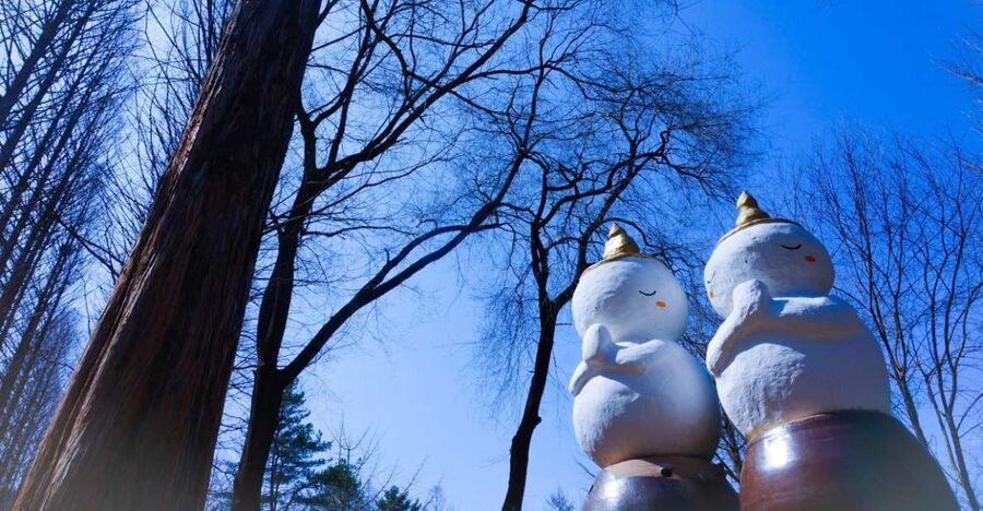Seoul: Elysian Gangchon Winter Ski with Nami Island Day Tour - The short transfer to Elysian Gangchon