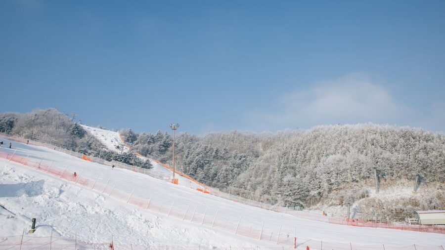 Seoul: Elysian Gangchon Winter Ski with Nami Island Day Tour - Choosing between five winter packages