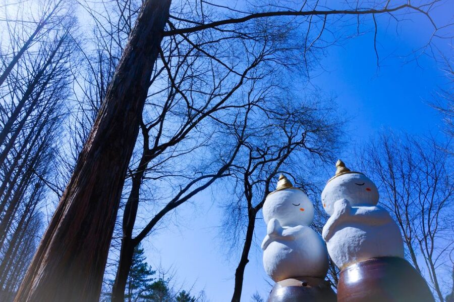 Seoul: Elysian Gangchon Winter Ski with Nami Island Day Tour - What the lesson and resort time are really like