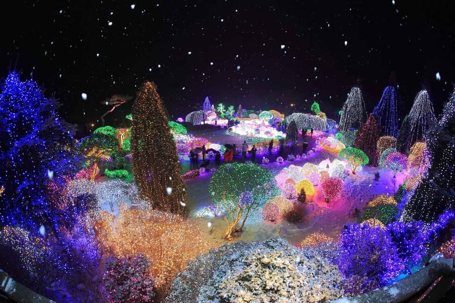 Seoul: Eobi Ice Valley, Alpaca World, Nami Island and More - FAQ