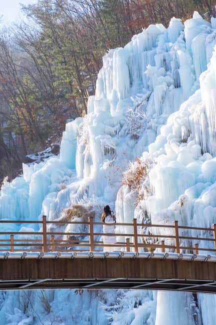 Seoul: Eobi Ice Valley, Alpaca World, Nami Island and More - Alpaca World: the most playful 90 minutes