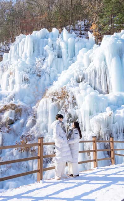 Seoul: Eobi Ice Valley, Alpaca World, Nami Island and More - Is $83 good value?