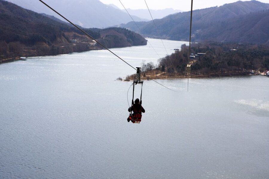 Seoul: Eobi Ice Valley, Alpaca World, Nami Island and More - Who should book this experience?