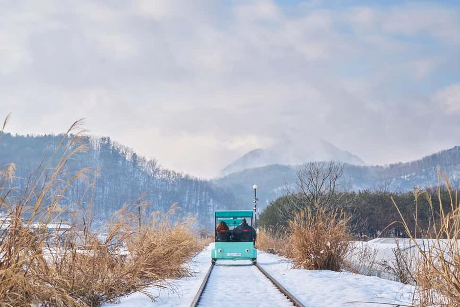 Seoul: Eobi Ice Valley, Alpaca World, Nami Island and More - Eobi Ice Valley: a quick start with big winter pictures