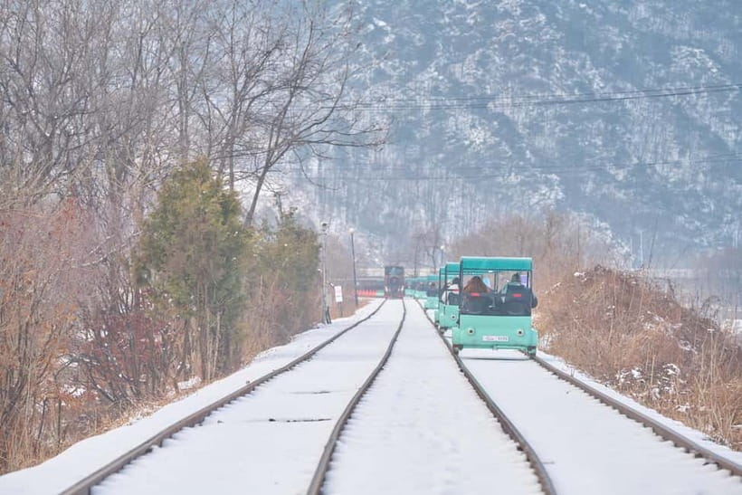 Seoul: Eobi Valley(Winter), Strawberry, Nami Island and Bike - Should you book this Seoul countryside day?