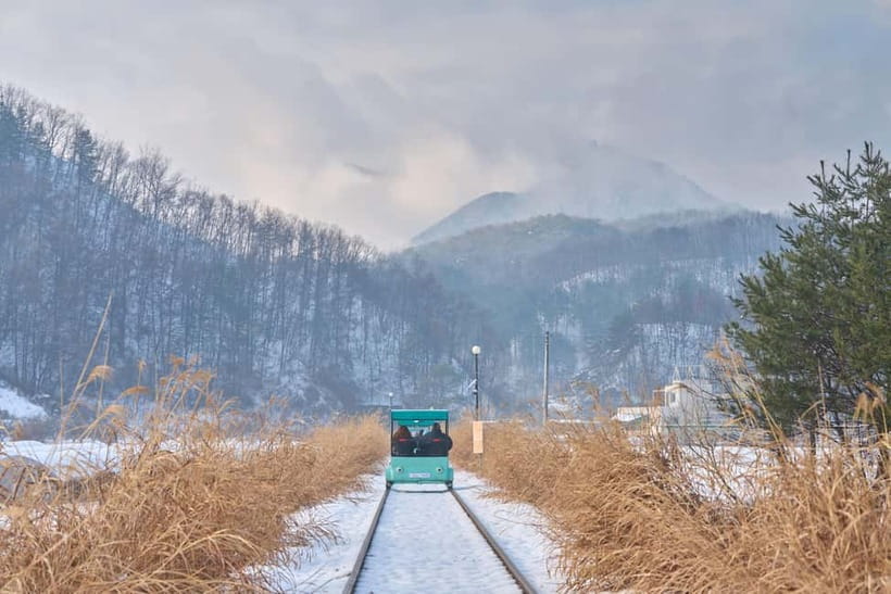 Seoul: Eobi Valley(Winter), Strawberry, Nami Island and Bike - Why this long Seoul day trip works