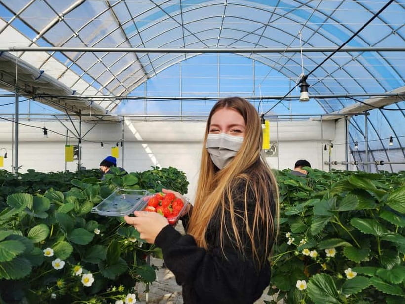 Seoul: Eobi Valley(Winter), Strawberry, Nami Island and Bike - Who will enjoy this tour most