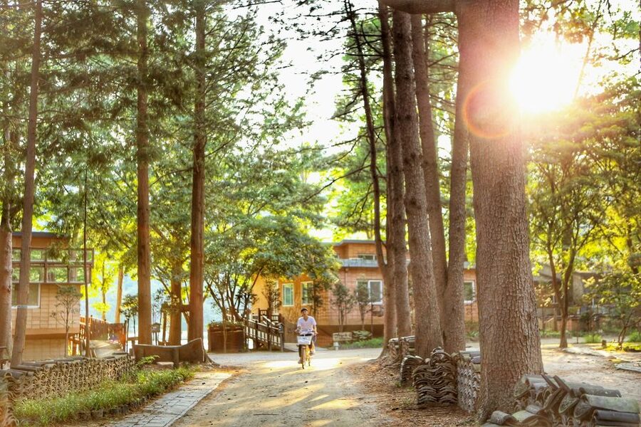 Seoul: Eobi Valley(Winter), Strawberry, Nami Island and Bike - Starting from Seoul at three pickup points