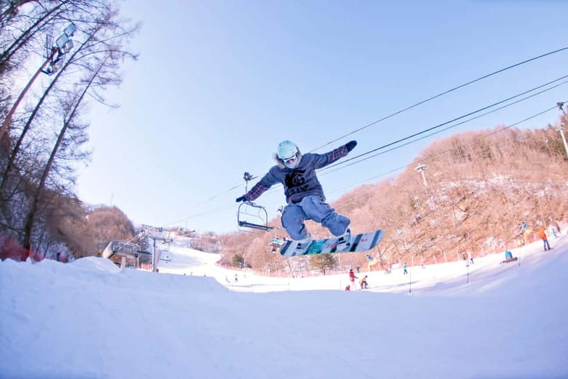 Seoul: Full-Day Winter Trip Ski Resort, Ice Valley, Namiseom - Key points to know before you book