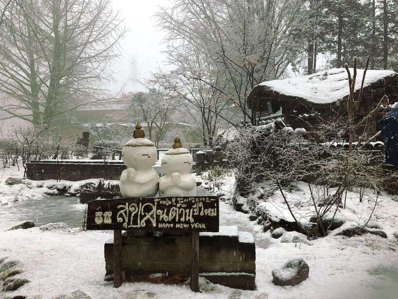 Seoul: Full-Day Winter Trip Ski Resort, Ice Valley, Namiseom - Why this winter day trip works from Seoul