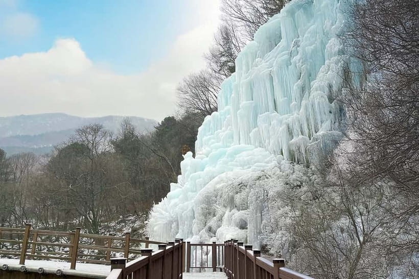 Seoul: Full-Day Winter Trip Ski Resort, Ice Valley, Namiseom - Namiseom: three hours of tree-lined calm