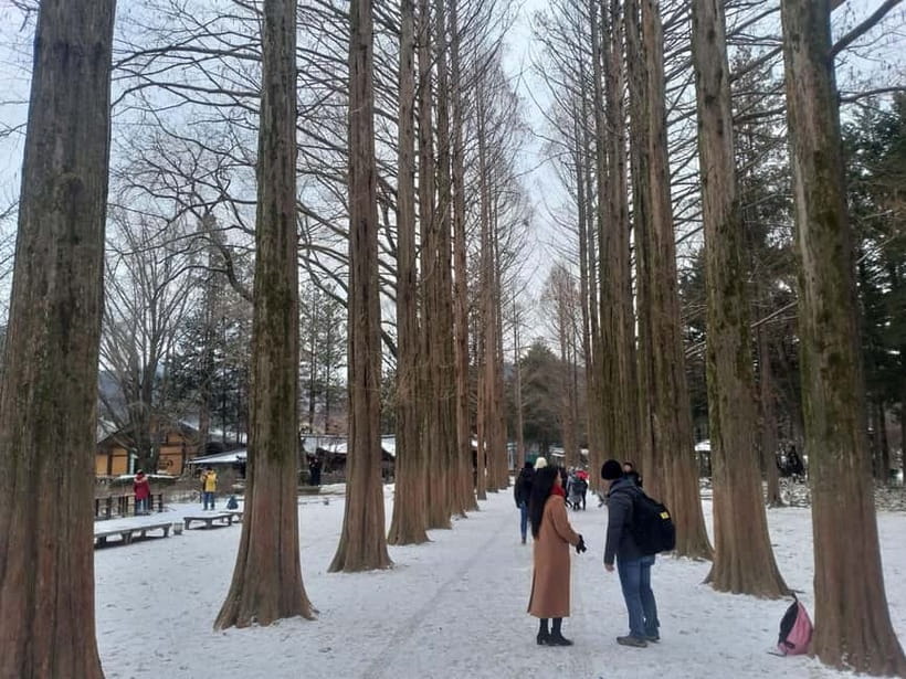 Seoul: Full-Day Winter Trip Ski Resort, Ice Valley, Namiseom - Eobi Ice Valley and the weather question