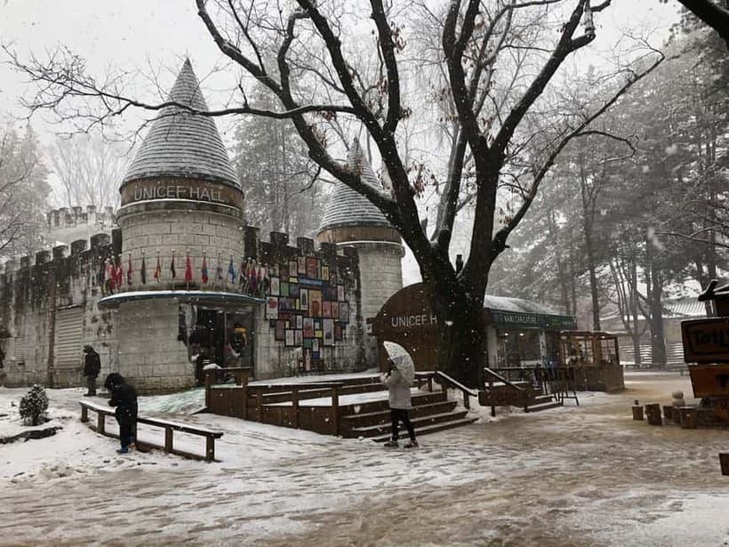 Seoul: Full-Day Winter Trip Ski Resort, Ice Valley, Namiseom - Who will get the most from this day